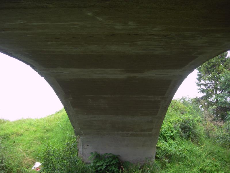 Most w Kamieczyku. Pod mostem. Sierpie 2007. Fot.: Braciszek